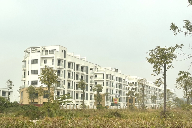 Người dân Bắc Ninh dồn dập đón tin vui- Ảnh 2.