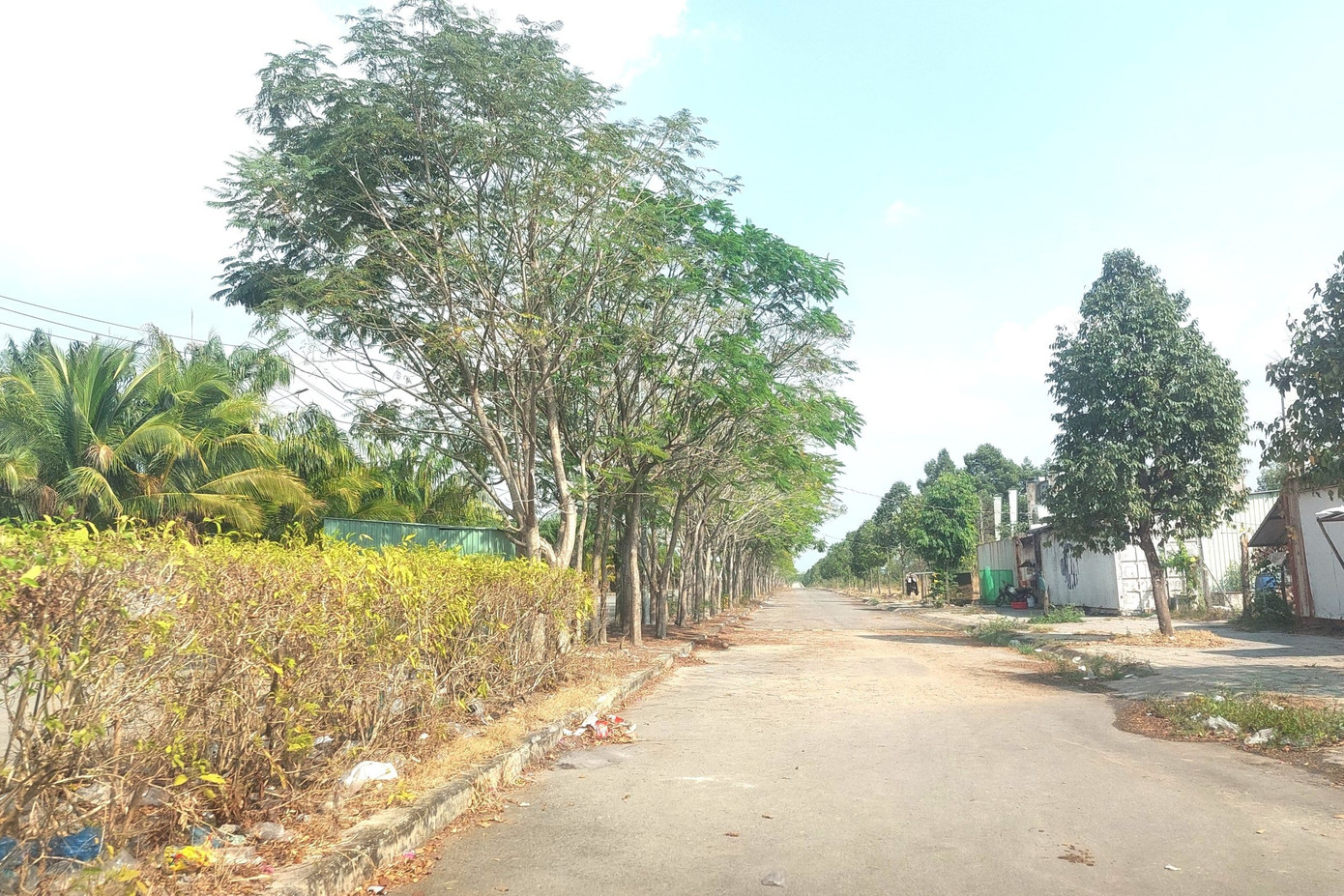 Hiện trạng Khu dân cư từng bố trí đất xây trung tâm chữa bệnh miễn phí cho ‘thần y’- Ảnh 15. Hiện trạng Khu dân cư từng bố trí đất xây trung tâm chữa bệnh miễn phí cho ‘thần y’- Ảnh 15.