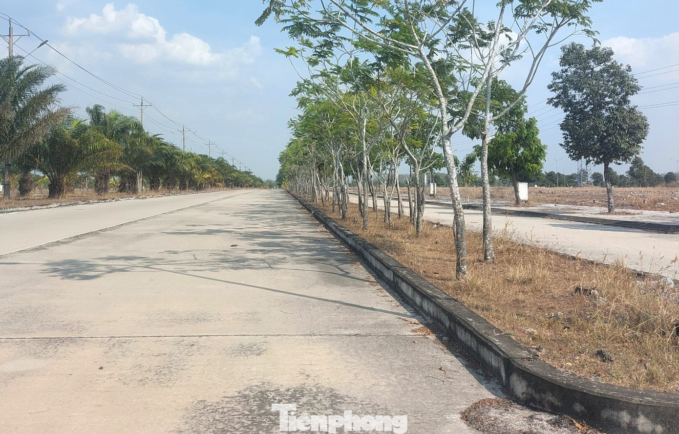 Hiện trạng Khu dân cư từng bố trí đất xây trung tâm chữa bệnh miễn phí cho ‘thần y’- Ảnh 6. Hiện trạng Khu dân cư từng bố trí đất xây trung tâm chữa bệnh miễn phí cho ‘thần y’- Ảnh 6.