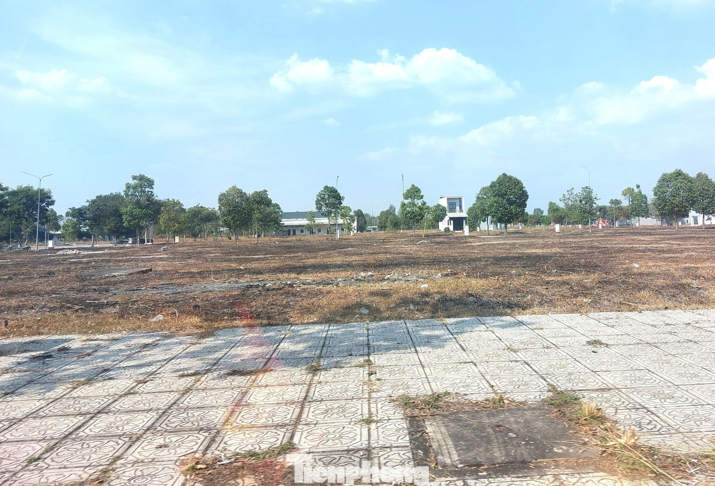Hiện trạng Khu dân cư từng bố trí đất xây trung tâm chữa bệnh miễn phí cho ‘thần y’- Ảnh 11. Hiện trạng Khu dân cư từng bố trí đất xây trung tâm chữa bệnh miễn phí cho ‘thần y’- Ảnh 11.