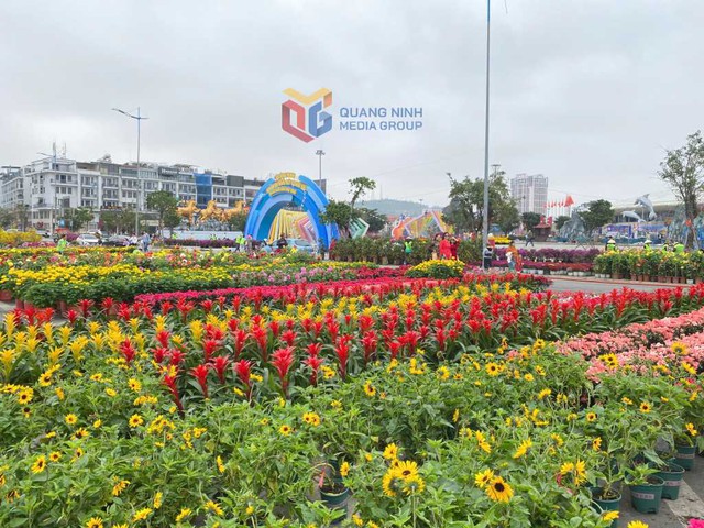 Ngày mai, một sự kiện đặc biệt sẽ diễn ra tại Quảng Ninh- Ảnh 3. Ngày mai, một sự kiện đặc biệt sẽ diễn ra tại Quảng Ninh- Ảnh 3.