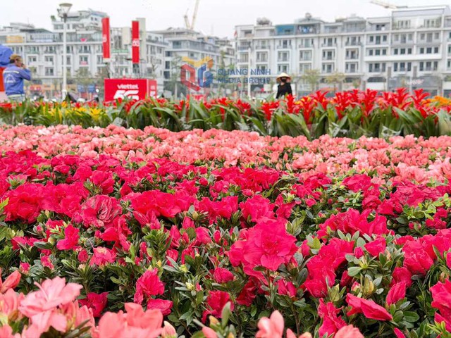 Ngày mai, một sự kiện đặc biệt sẽ diễn ra tại Quảng Ninh- Ảnh 4. Ngày mai, một sự kiện đặc biệt sẽ diễn ra tại Quảng Ninh- Ảnh 4.