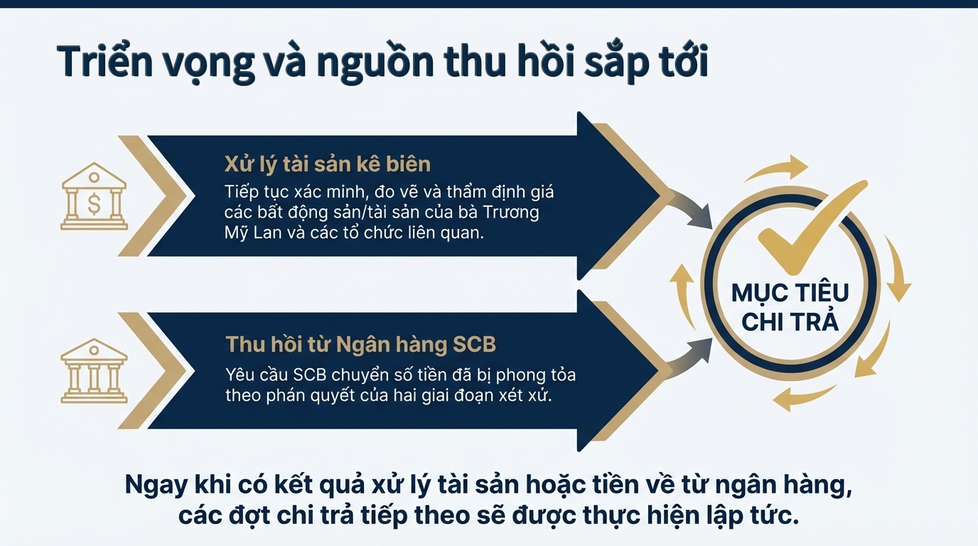 Thi hành án kỷ lục vụ Trương Mỹ Lan: Những con số "biết nói" - Ảnh 9.