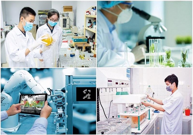 Miễn tiền thuê đất với dự án khoa học, công nghệ, đổi mới sáng tạo và chuyển đổi số- Ảnh 1.