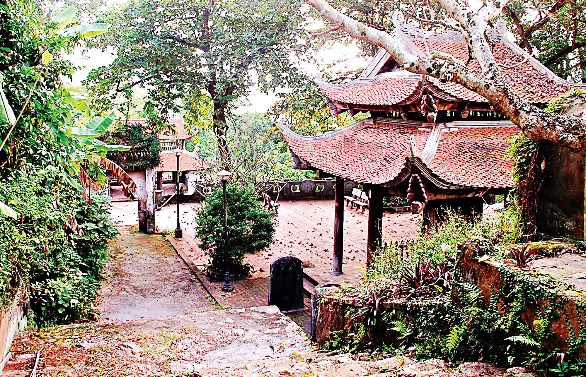 Ngọn núi cao chưa đến 100m, được mệnh danh là "núi rồng": Trên đỉnh có di tích quốc gia gần 1000 tuổi - Ảnh 5. Ngọn núi cao chưa đến 100m, được mệnh danh là "núi rồng": Trên đỉnh có di tích quốc gia gần 1000 tuổi - Ảnh 5.