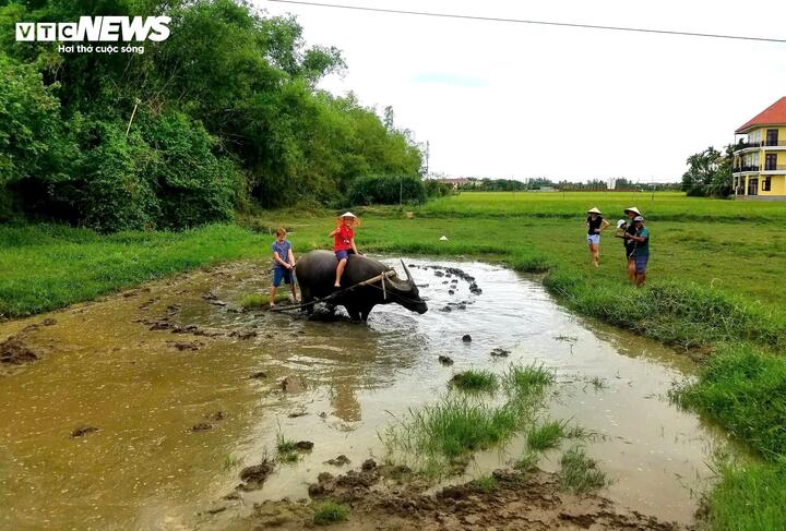 Khám phá ngôi làng Việt lọt top đẹp nhất thế giới- Ảnh 8. Khám phá ngôi làng Việt lọt top đẹp nhất thế giới- Ảnh 8.