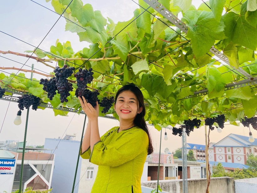 Ngắm khu vườn 80m2 phủ kín rau trái trên sân thượng của cô gái trẻ tại TP.HCM- Ảnh 1. Ngắm khu vườn 80m2 phủ kín rau trái trên sân thượng của cô gái trẻ tại TP.HCM- Ảnh 1.