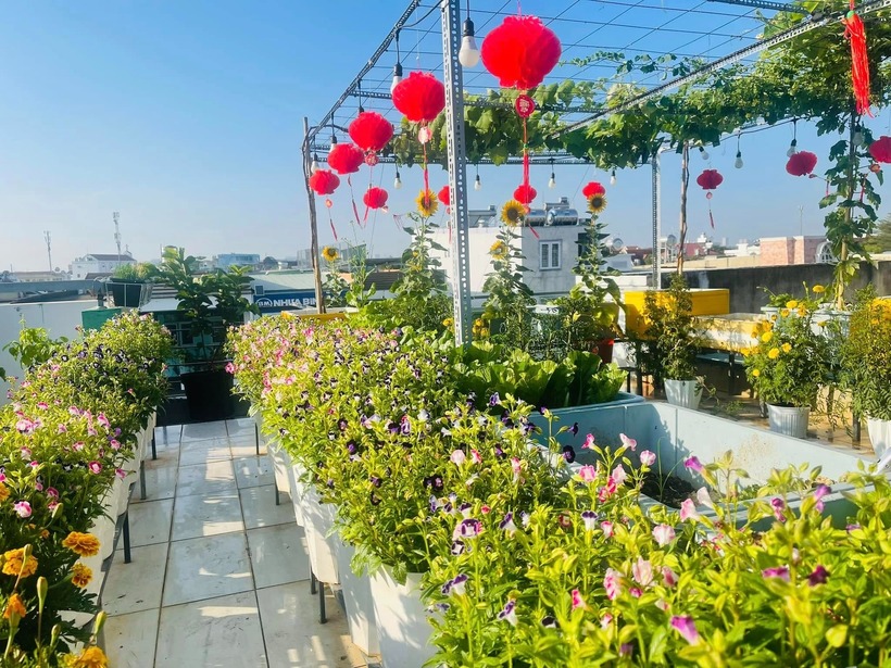 Ngắm khu vườn 80m2 phủ kín rau trái trên sân thượng của cô gái trẻ tại TP.HCM- Ảnh 6. Ngắm khu vườn 80m2 phủ kín rau trái trên sân thượng của cô gái trẻ tại TP.HCM- Ảnh 6.