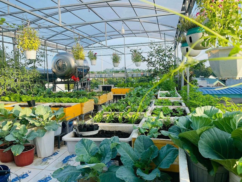 Ngắm khu vườn 80m2 phủ kín rau trái trên sân thượng của cô gái trẻ tại TP.HCM- Ảnh 8. Ngắm khu vườn 80m2 phủ kín rau trái trên sân thượng của cô gái trẻ tại TP.HCM- Ảnh 8.