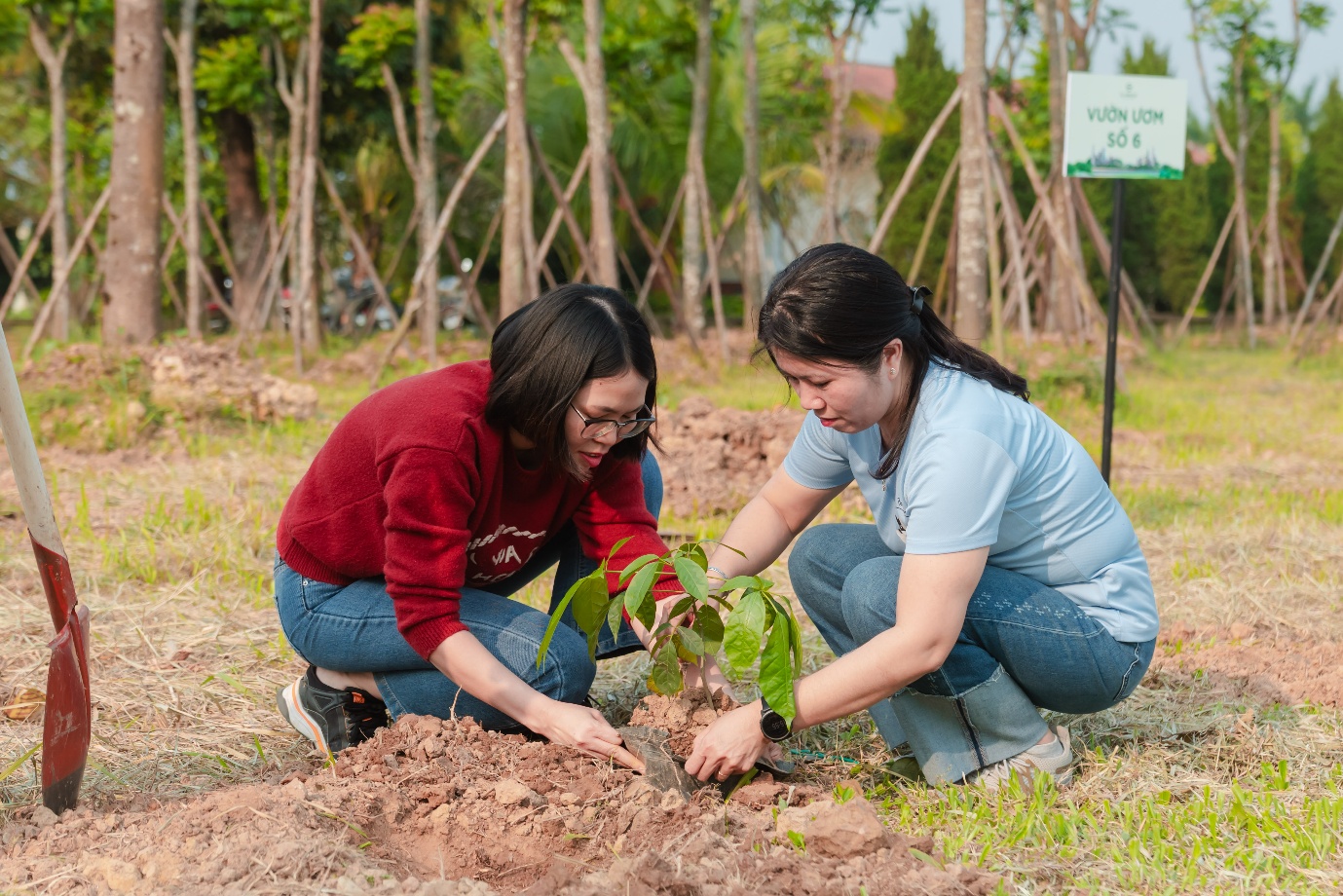 SJ Group kiến tạo di sản xanh, đầu tư cho cảnh quan tại Vista Nam An Khánh - Ảnh 2. SJ Group kiến tạo di sản xanh, đầu tư cho cảnh quan tại Vista Nam An Khánh - Ảnh 2.