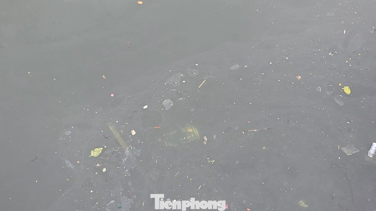 tp-100923-1772713709088-177271370949876639372